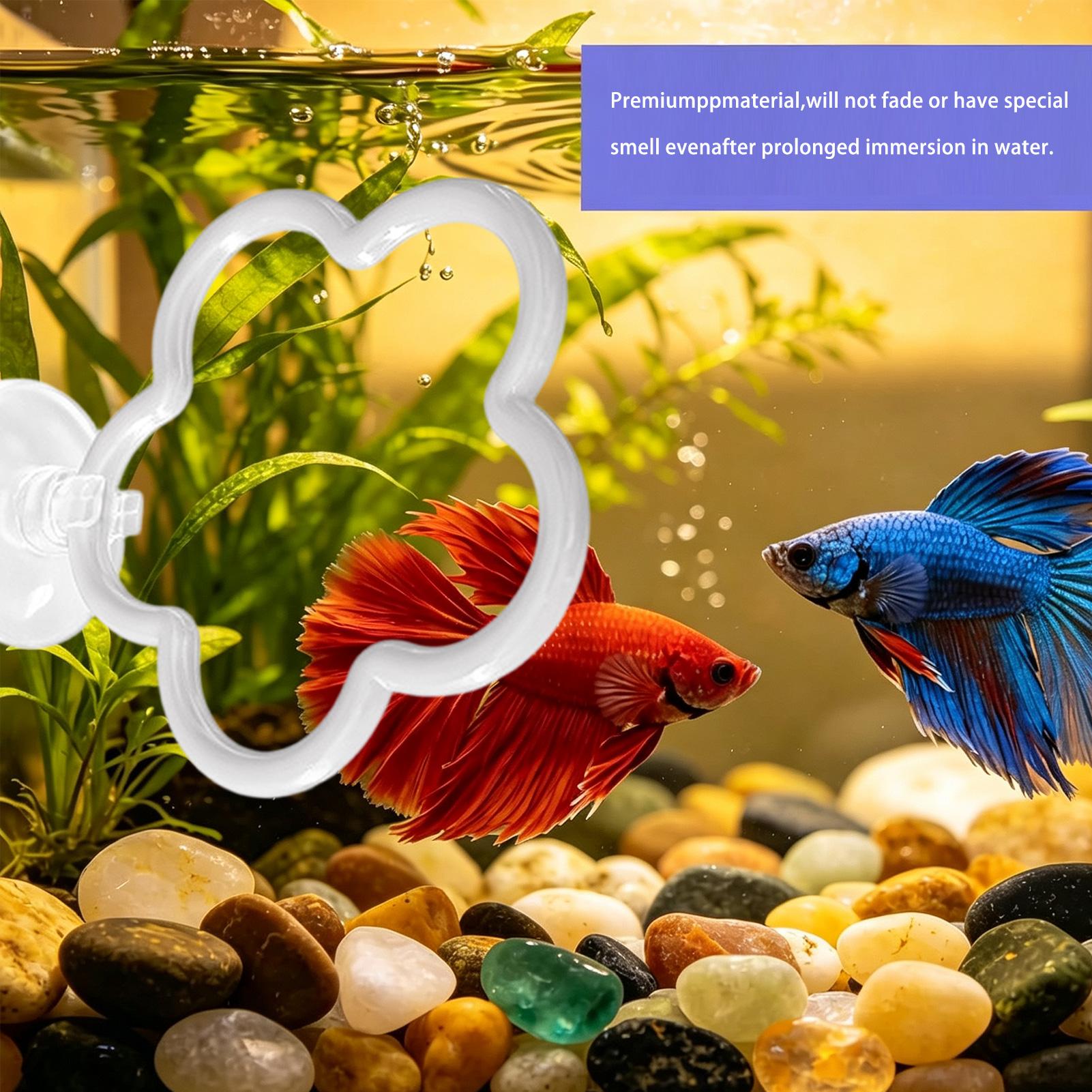 Fish Toys For Aquarium - Betta Toys For Aquarium 5 Pieces