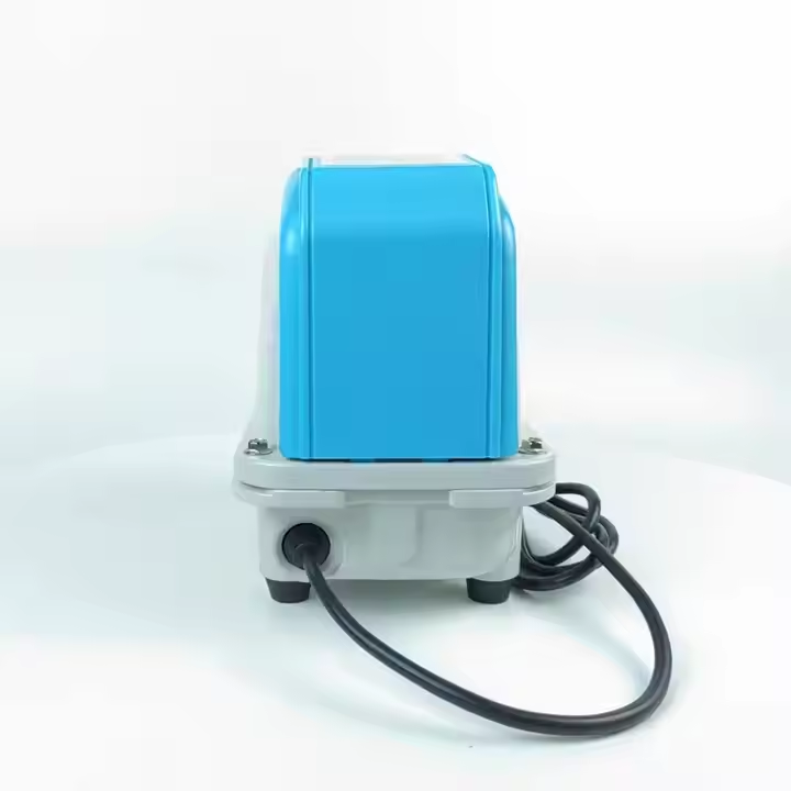 Aquarium Fish And Price - Factory Price Aquarium Pump Fish Tank