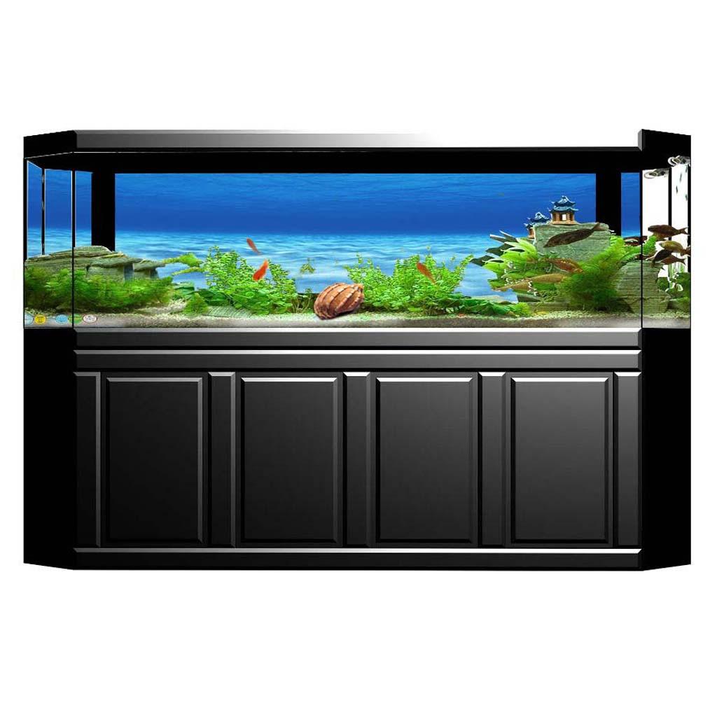 Aquarium Fish Of The World - Side Decorative Aquarium Background Poster Fish