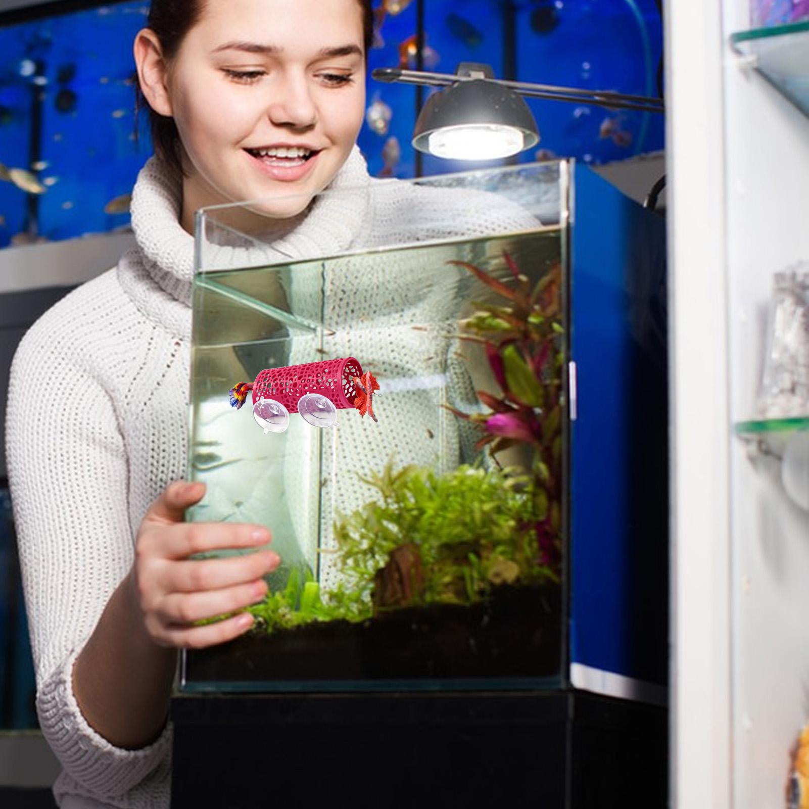 Betta Habitat Resting Shelter  - Fish Toys For Aquarium review and price