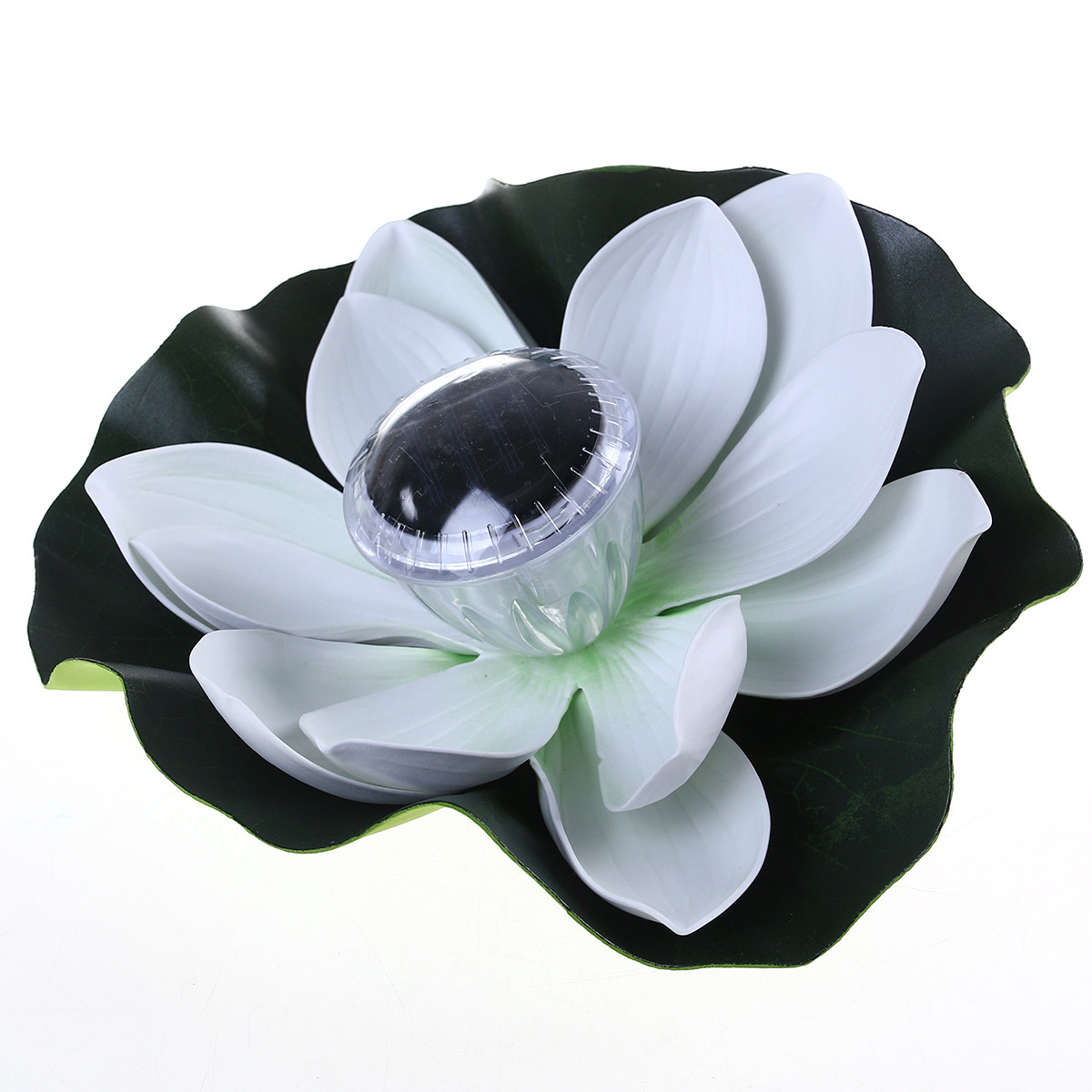 Fish Pond Light Decoration Out - Aquarium Fish Pond review and price
