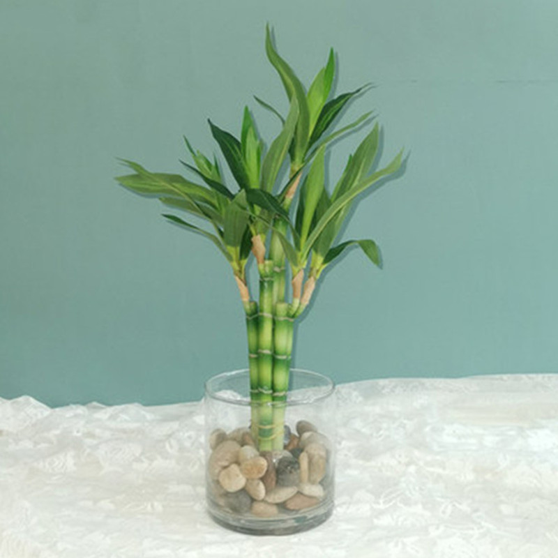 New 40cm rFtificial Lucky Bamb - Aquarium Fish Pot review and price