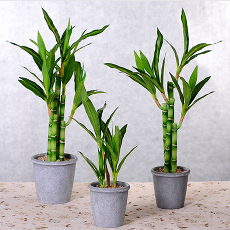 New 40cm rFtificial Lucky Bamb - Aquarium Fish Pot review and price