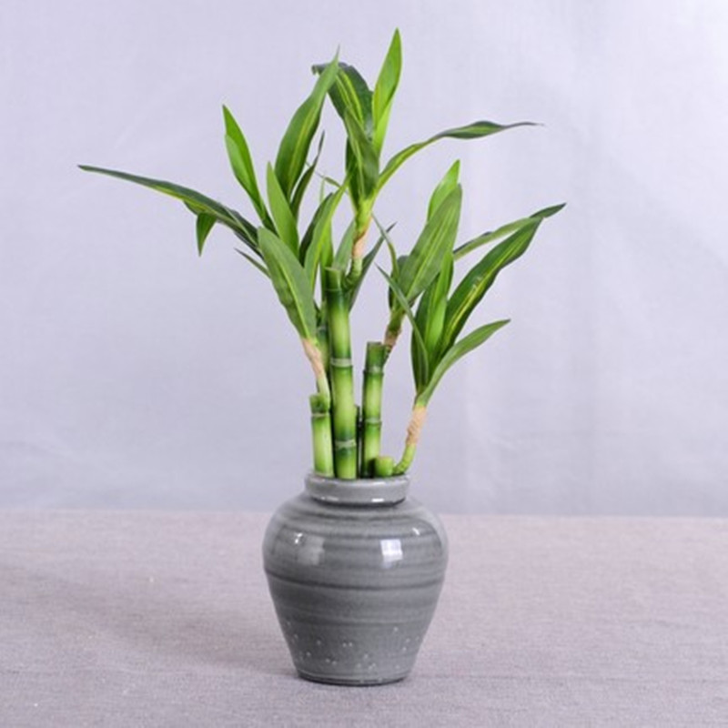 New 40cm rFtificial Lucky Bamb - Aquarium Fish Pot review and price