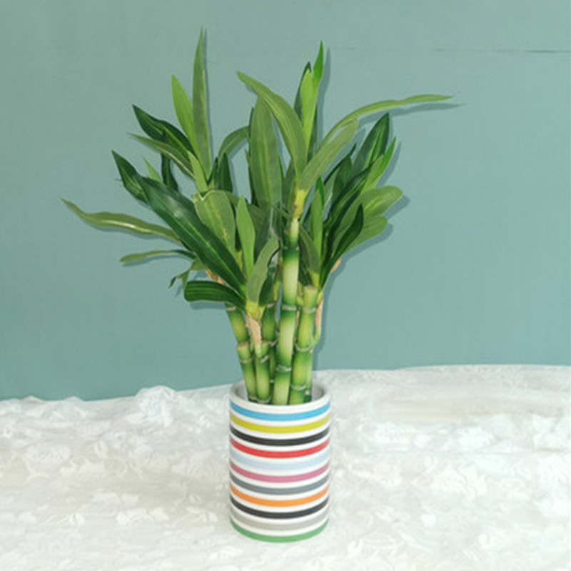 New 40cm rFtificial Lucky Bamb - Aquarium Fish Pot review and price