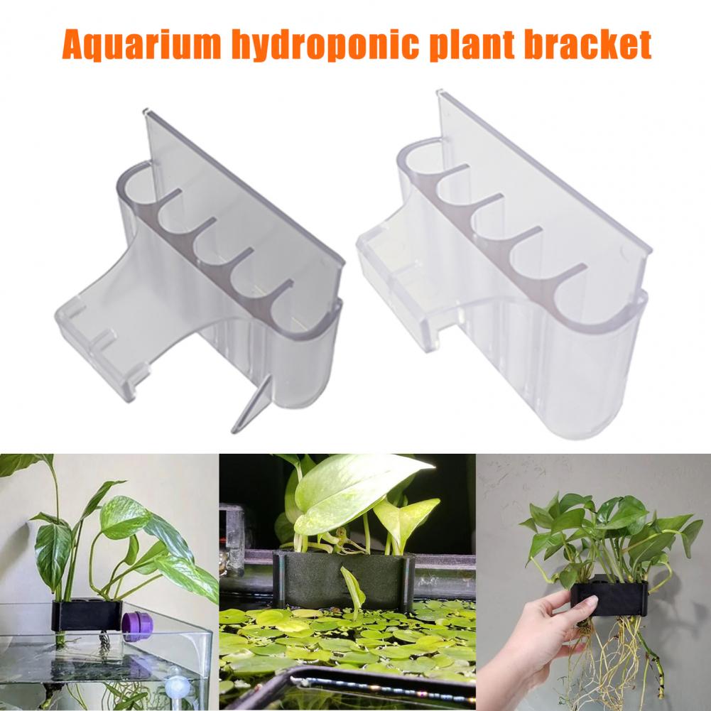 4.5/6.5cm Aquarium Plant Holde - Aquarium Fish Pot review and price