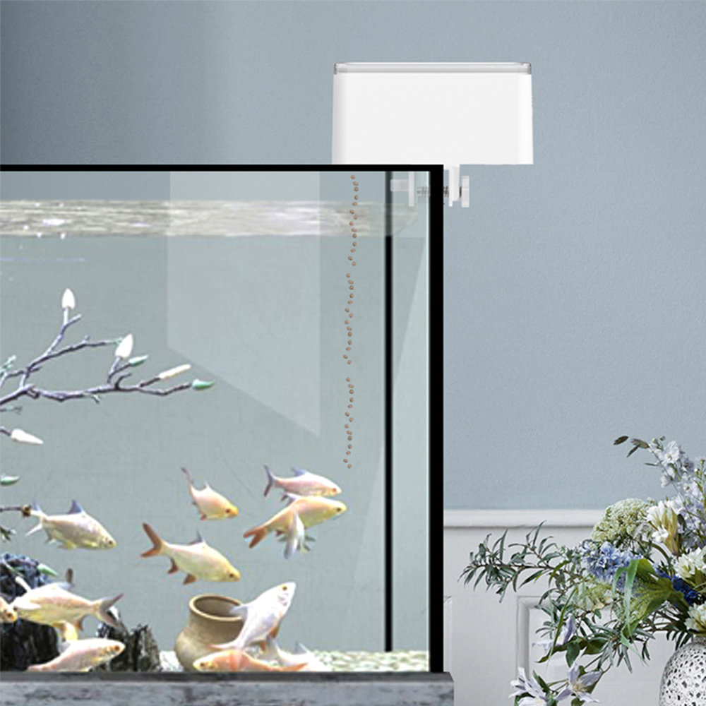 100ML Large Capacity Fish Feed - Aquarium Fish App review and price
