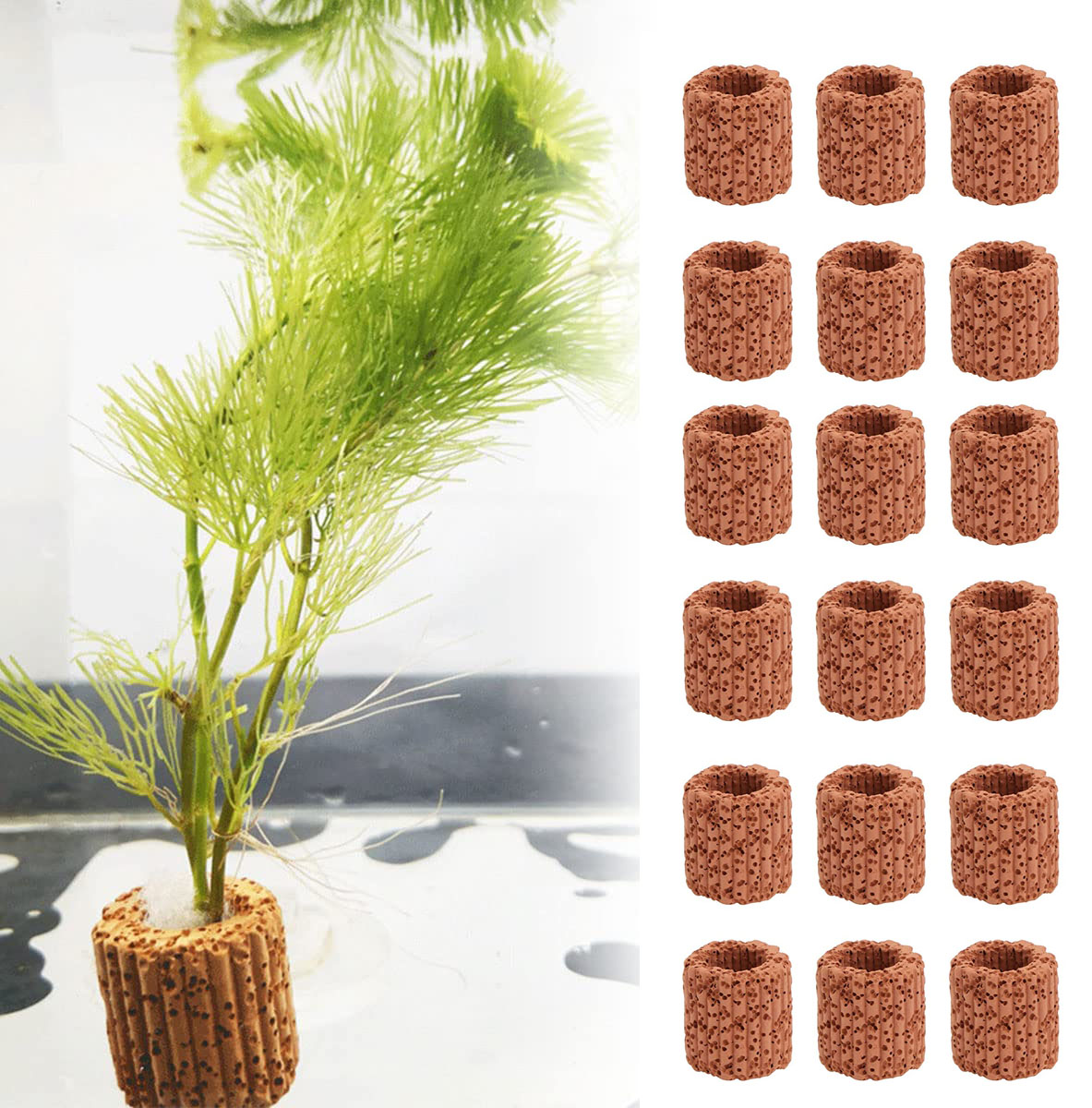 10/20Pcs Aquatic Water Plant F - Aquarium Fish Pot review and price