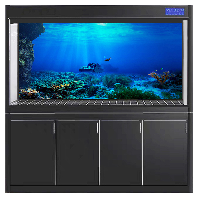 Fish Tank Background Decorativ - Aquarium Fish Of The World review and price