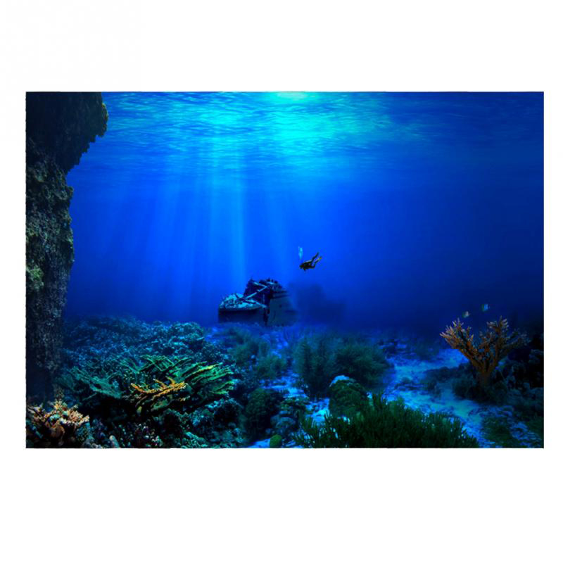 Fish Tank Background Decorativ - Aquarium Fish Of The World review and price