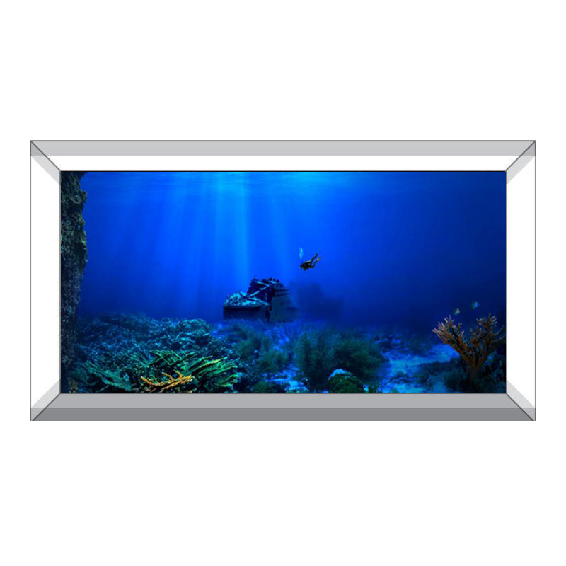 Fish Tank Background Decorativ - Aquarium Fish Of The World review and price