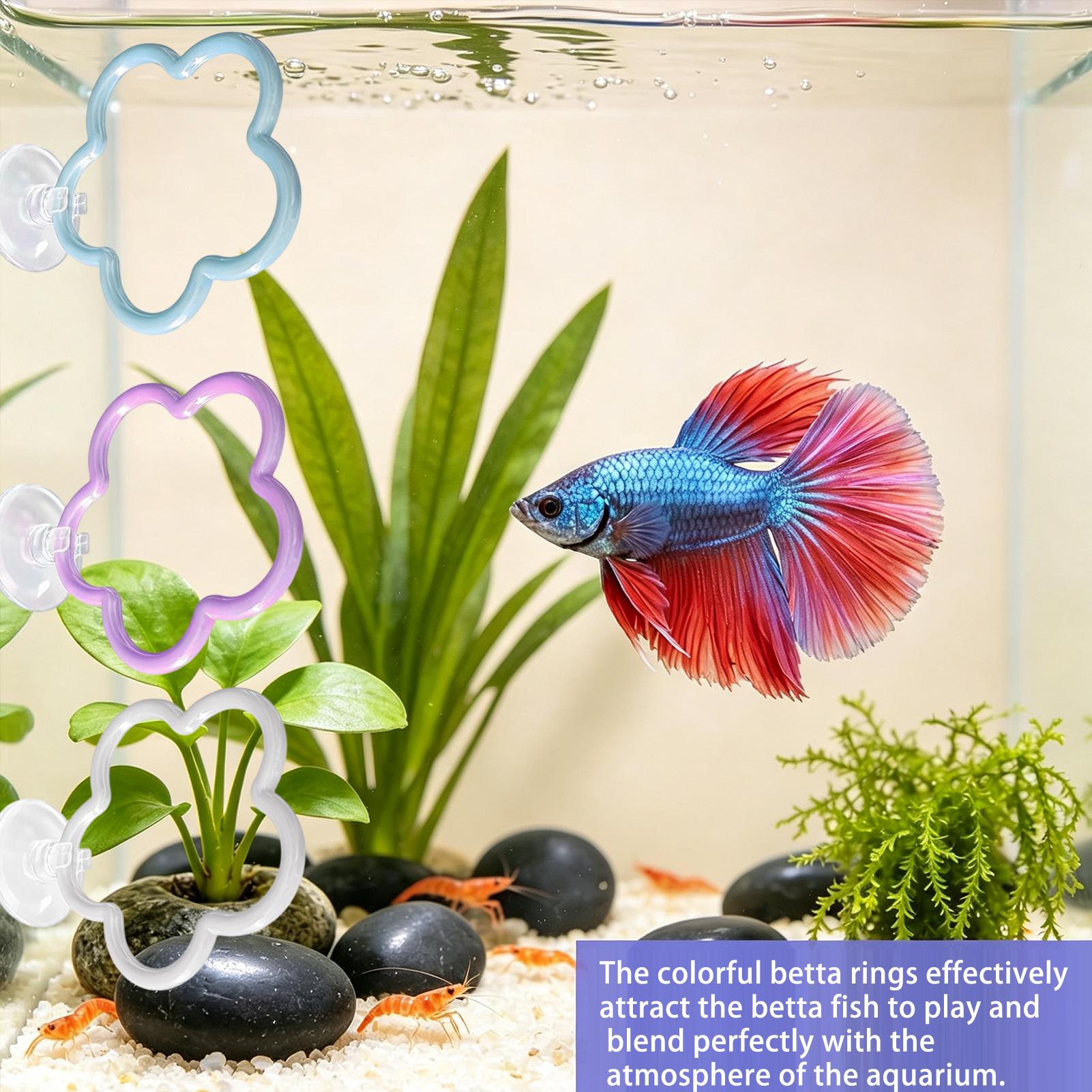 Betta Toys For Aquarium 5 Piec - Fish Toys For Aquarium review and price