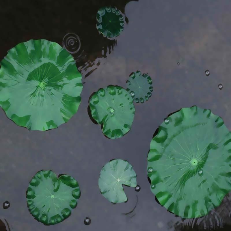 2026 Artificial Water Lily Lot - Aquarium Fish Pond review and price