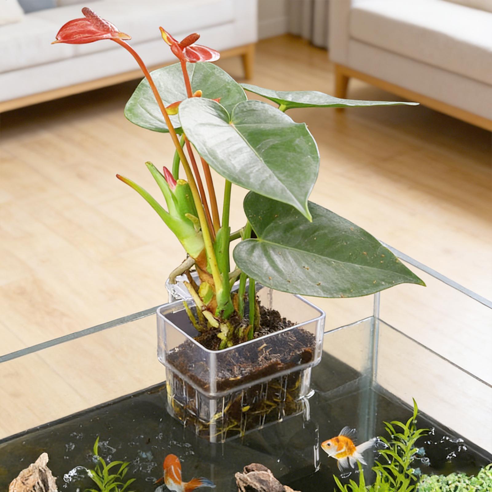 Aquarium Plant Basket Transpar - Aquarium Fish Pot review and price
