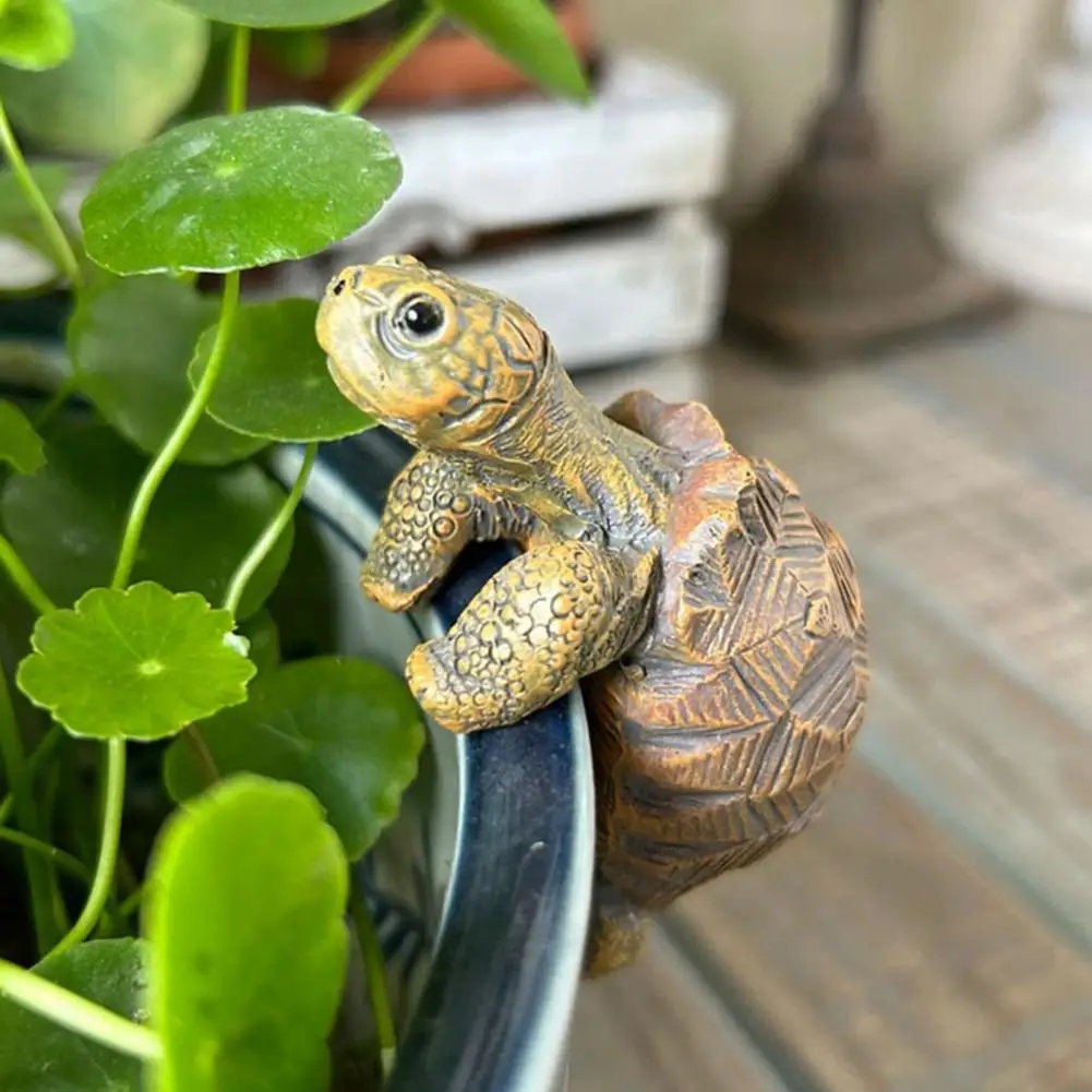 Fishing Turtle Hanging Turtle  - Aquarium Fish Pond review and price