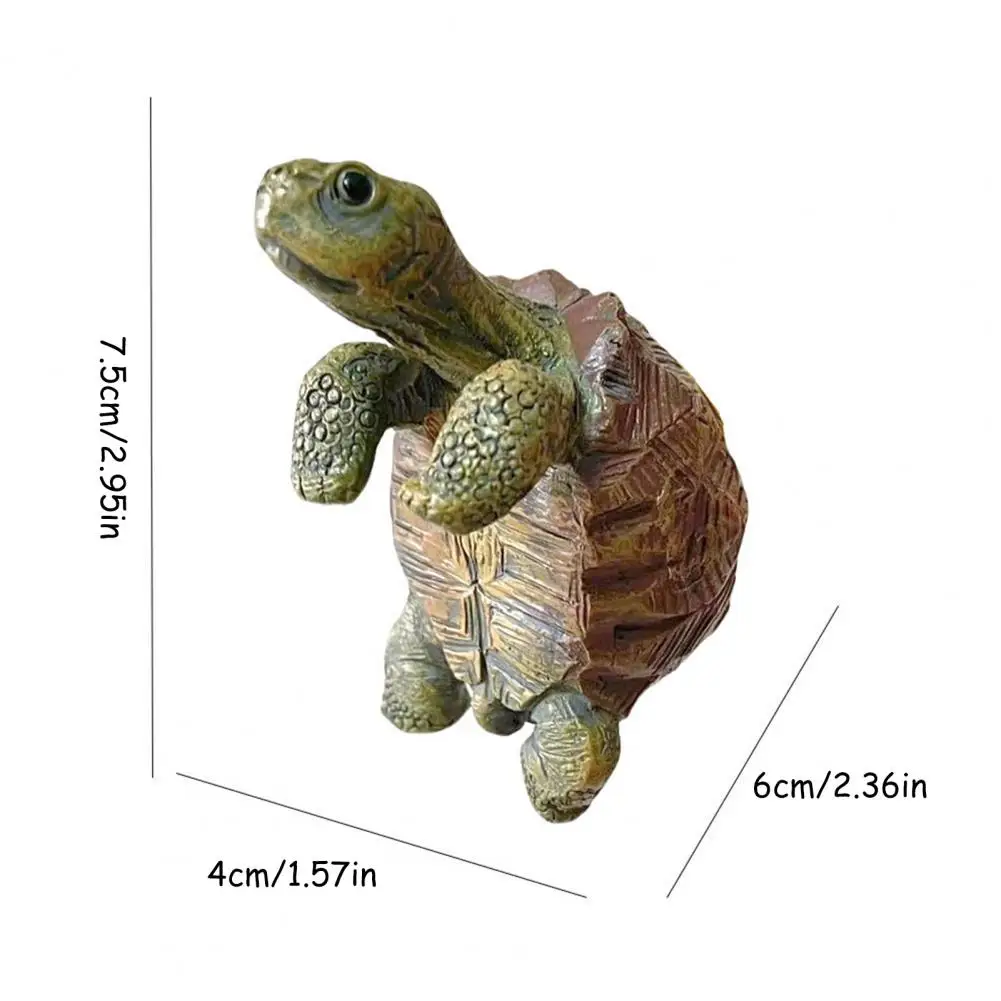 Fishing Turtle Hanging Turtle  - Aquarium Fish Pond review and price