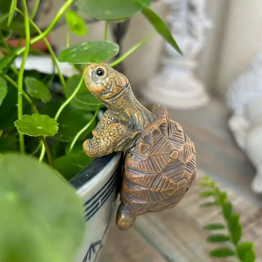Fishing Turtle Hanging Turtle  - Aquarium Fish Pond review and price