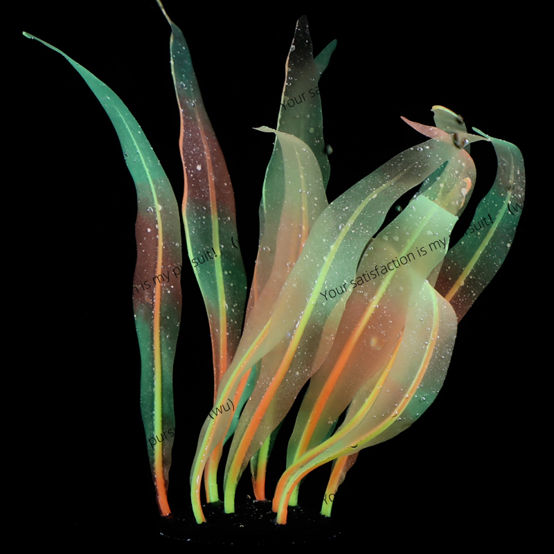 Simulated Kelp Plant Decoratio - Aquarium Fish Of The World review and price