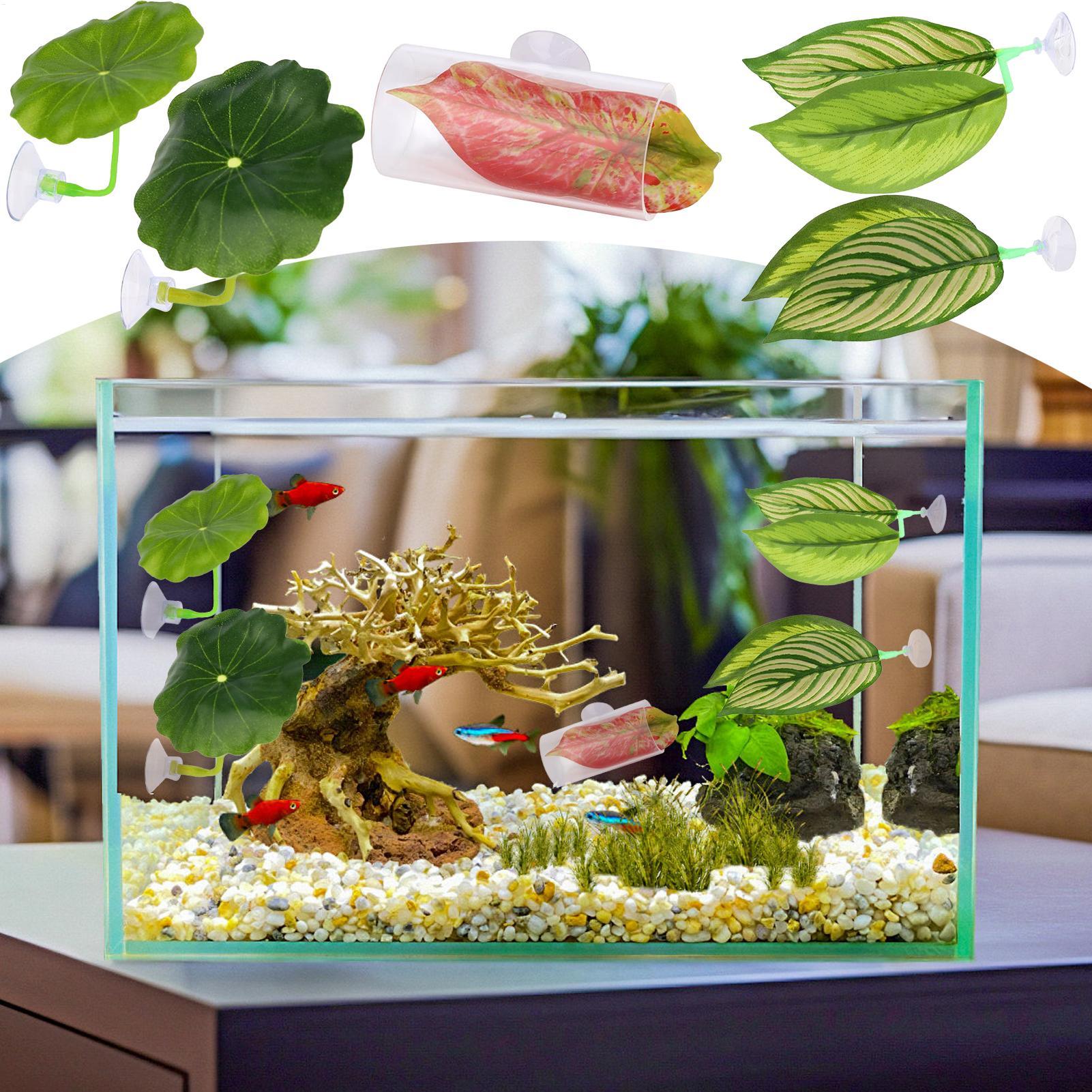 Betta Fish Hammock 5 Pieces Ad - Fish Toys For Aquarium review and price