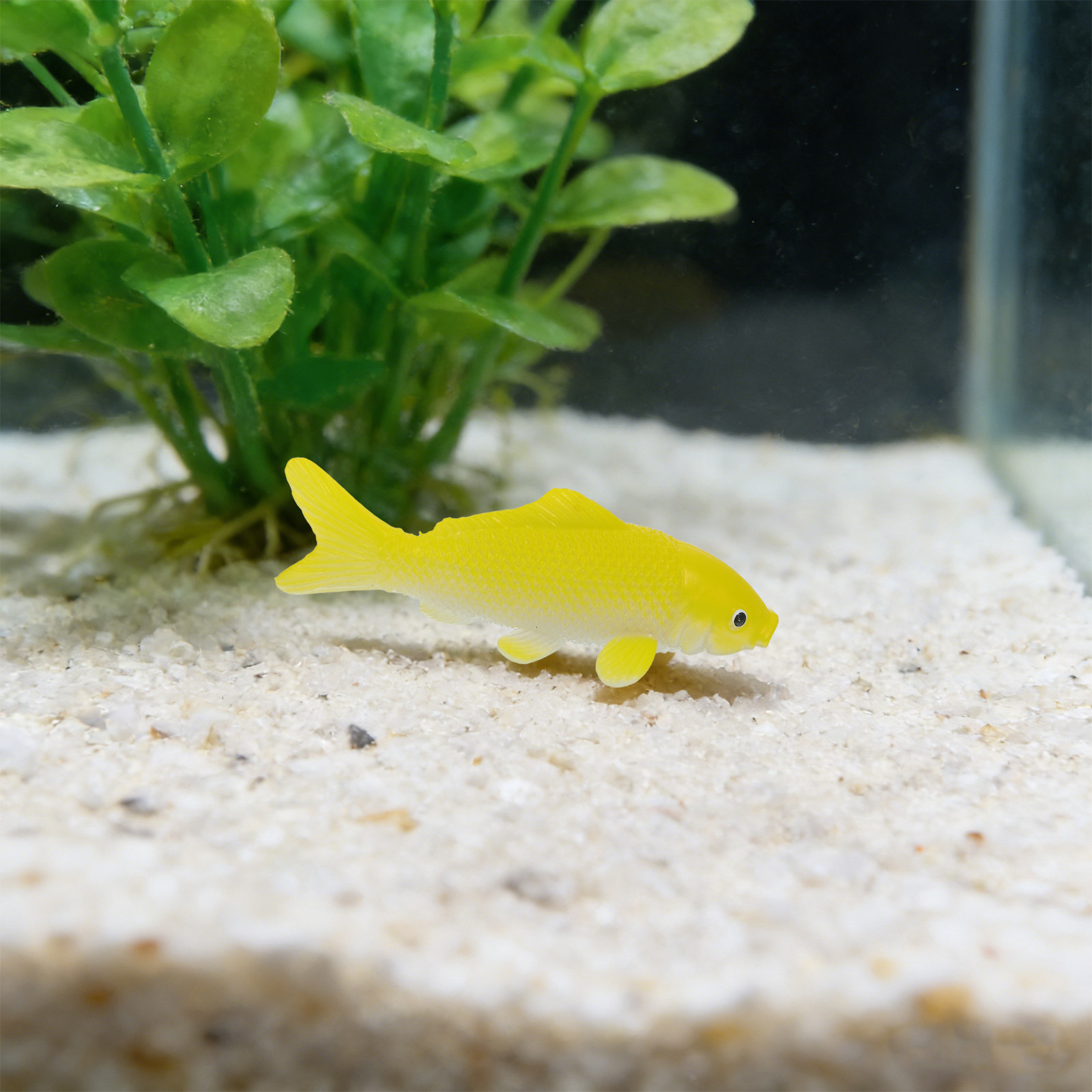 3pcs Fish Crafts Toys Realisti - Aquarium Fish Pond review and price