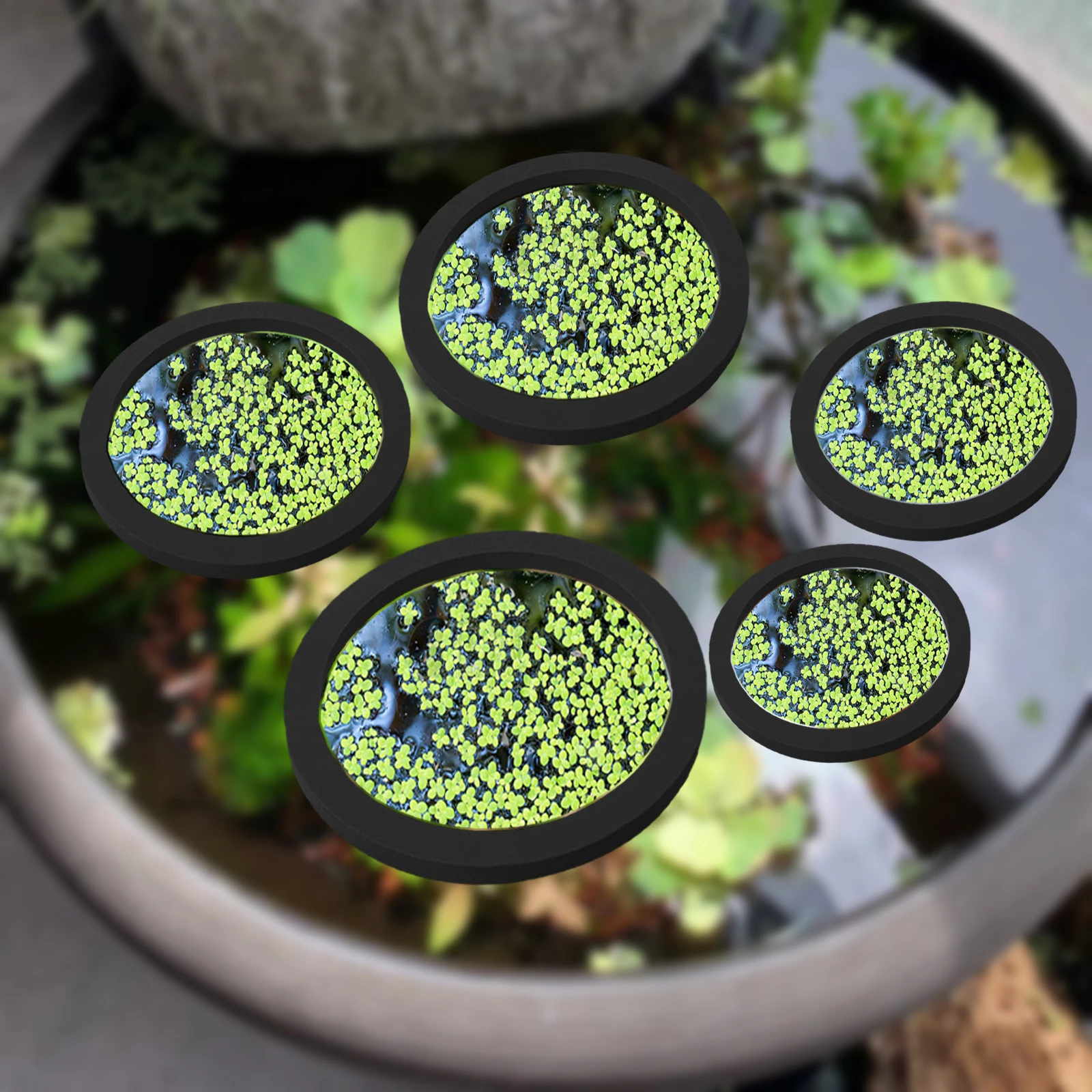 5Pcs EVA Fish Feeding Ring Aqu - Aquarium Fish Pond review and price