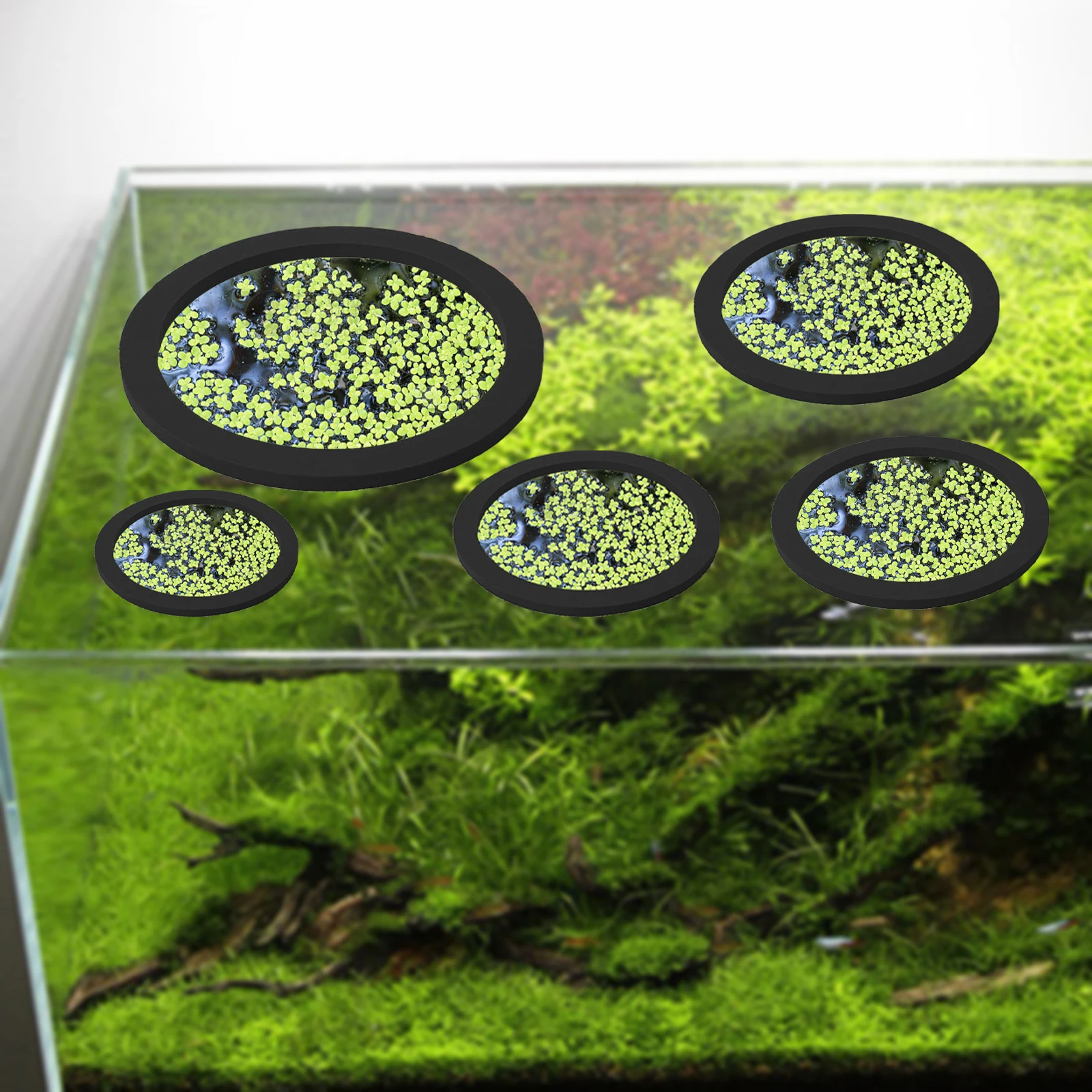 5Pcs EVA Fish Feeding Ring Aqu - Aquarium Fish Pond review and price