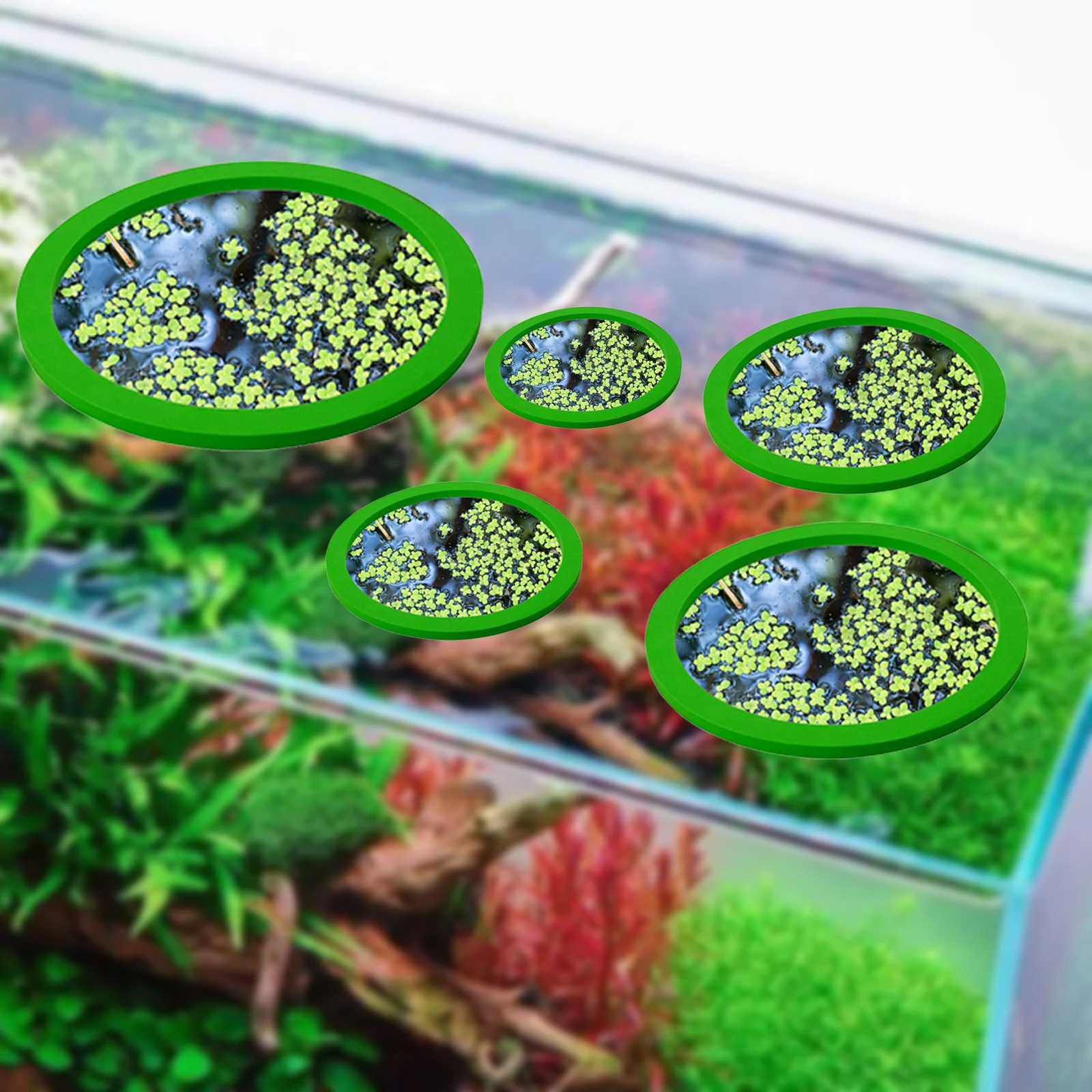 5Pcs EVA Fish Feeding Ring Aqu - Aquarium Fish Pond review and price