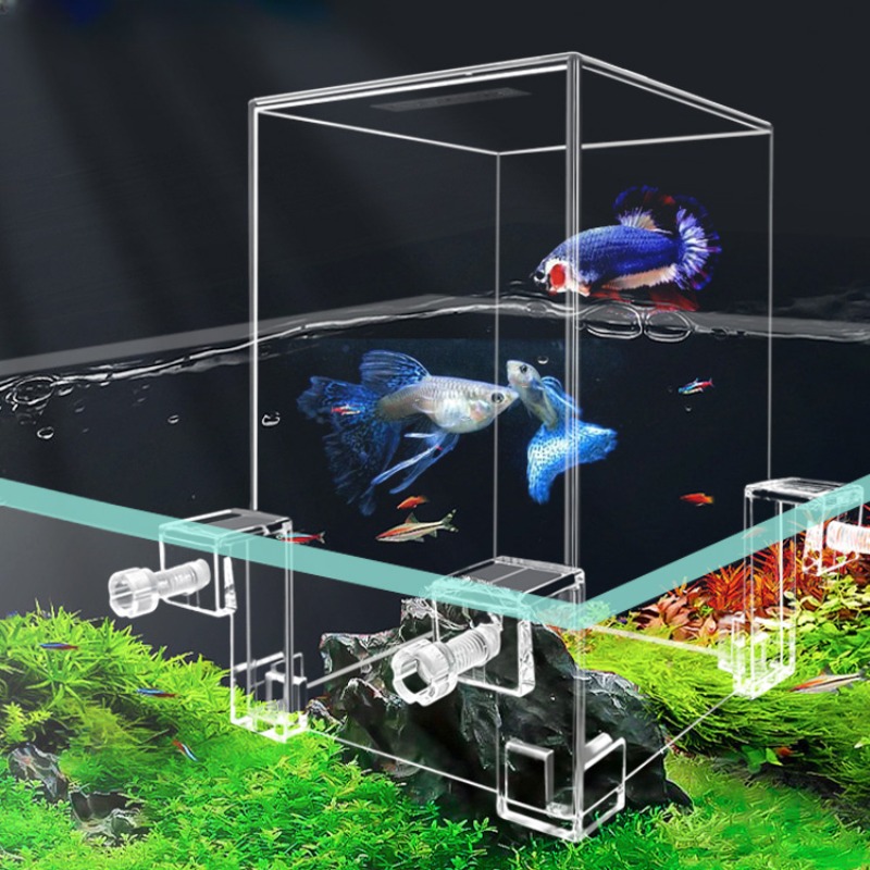 Creative Aquarium Tanks Negati - Aquarium Fish Pot review and price