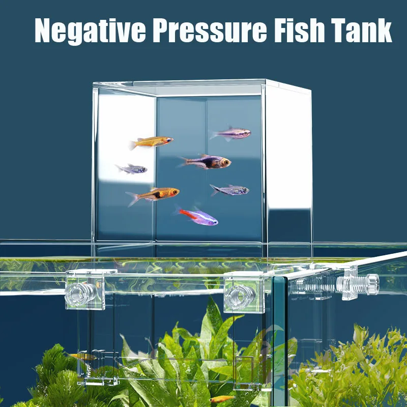 Creative Aquarium Tanks Negati - Aquarium Fish Pot review and price