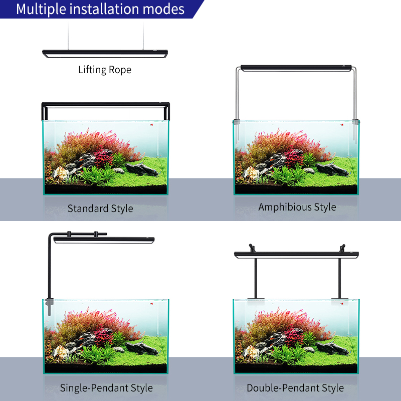V300SE Best Price 30 40cm Fres - Aquarium Fish And Price review and price