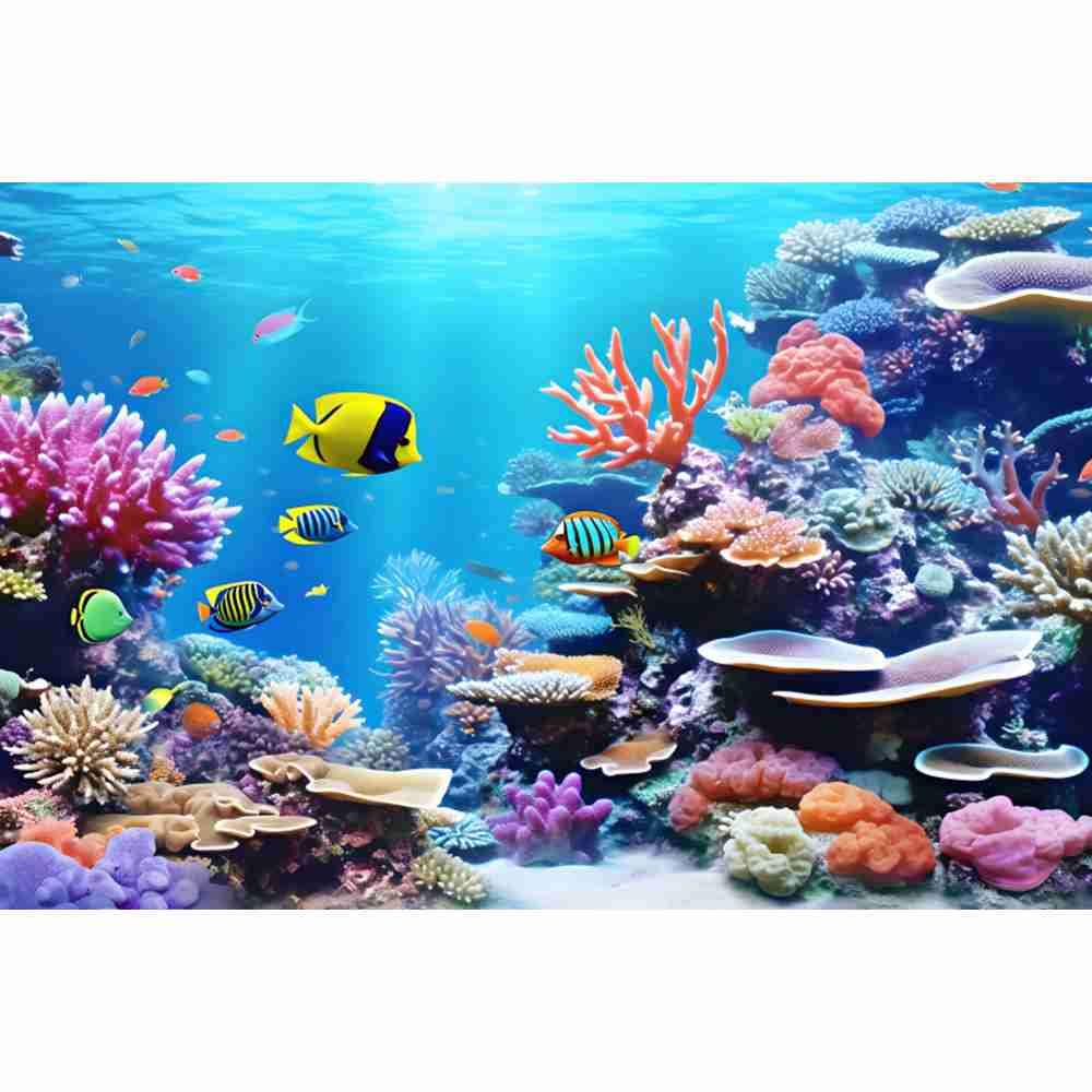 Underwater Ocean World Photogr - Aquarium Fish Of The World review and price