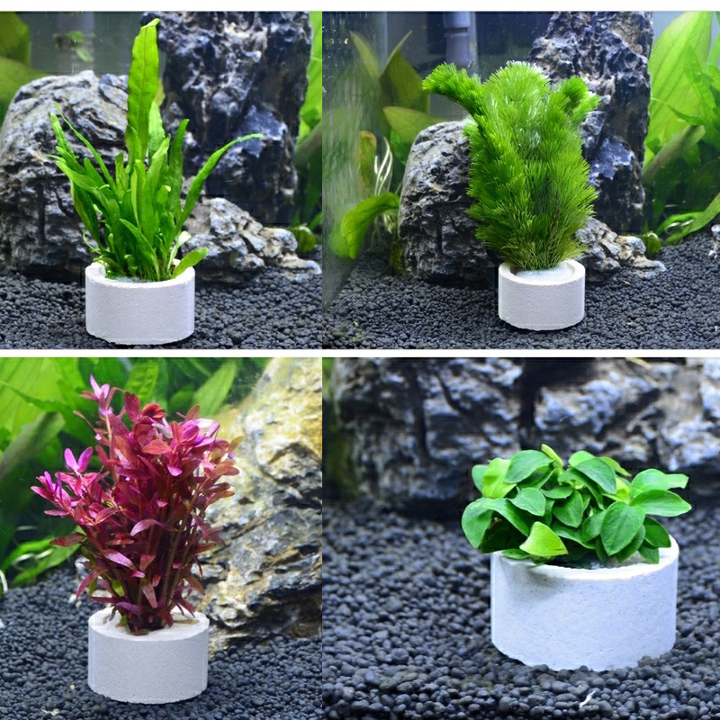 Aquarium Decoration Ceramic Ri - Aquarium Fish Pot review and price