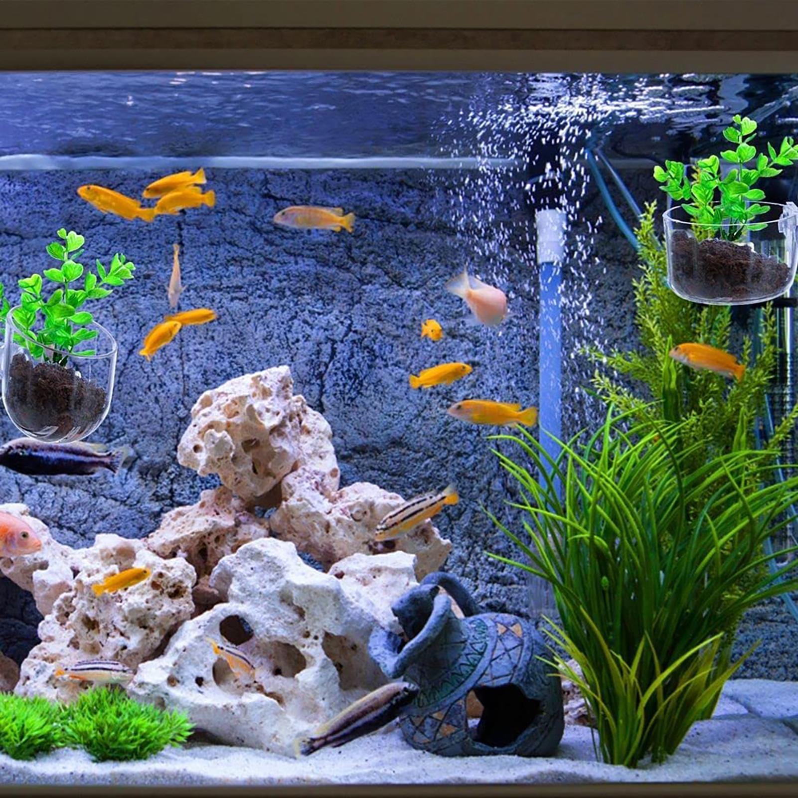Aquatic Plant Pot Clear Acryli - Aquarium Fish Pot review and price