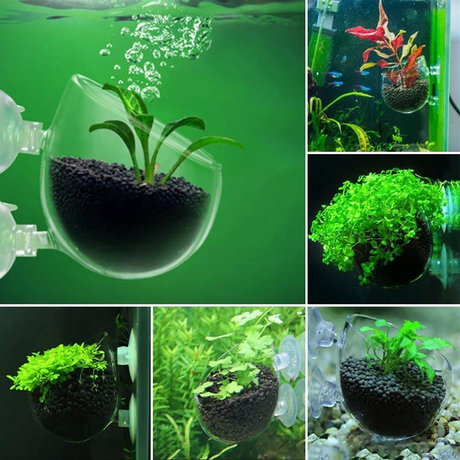Aquatic Plant Pot Acrylic Aqua - Aquarium Fish Pot review and price