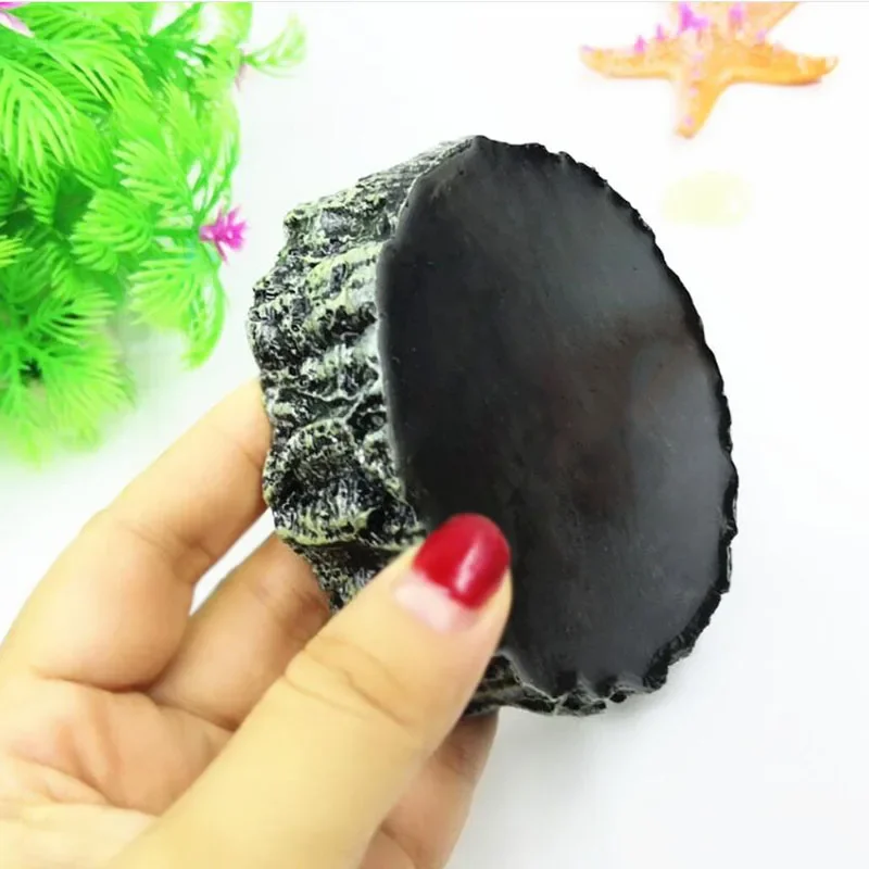 Pet Reptile Feeder Bowl Resin  - Aquarium Fish Pot review and price
