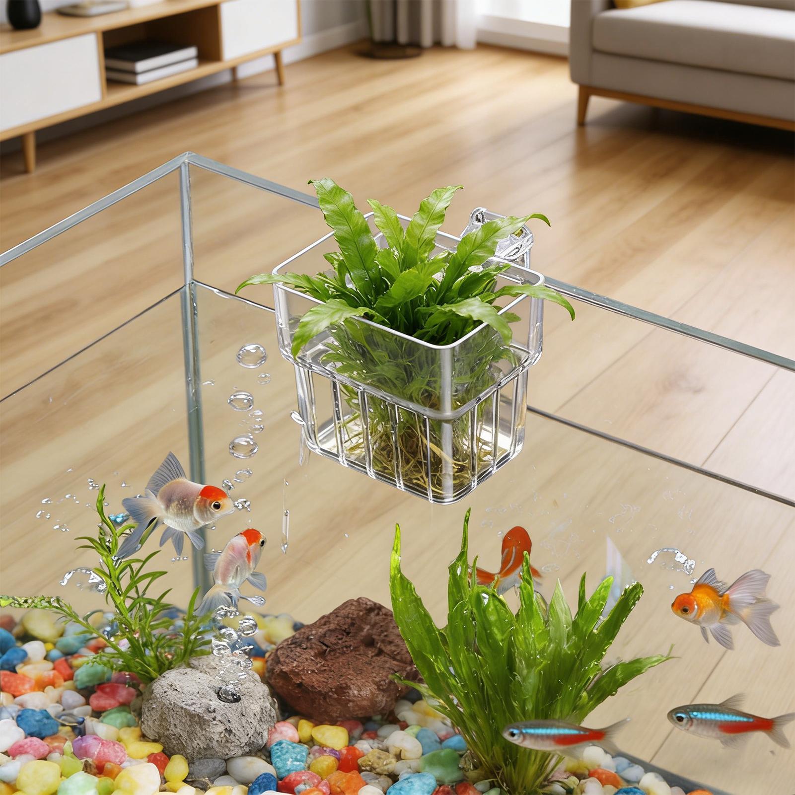 Aquarium Transparent Hanger Po - Aquarium Fish Pot review and price