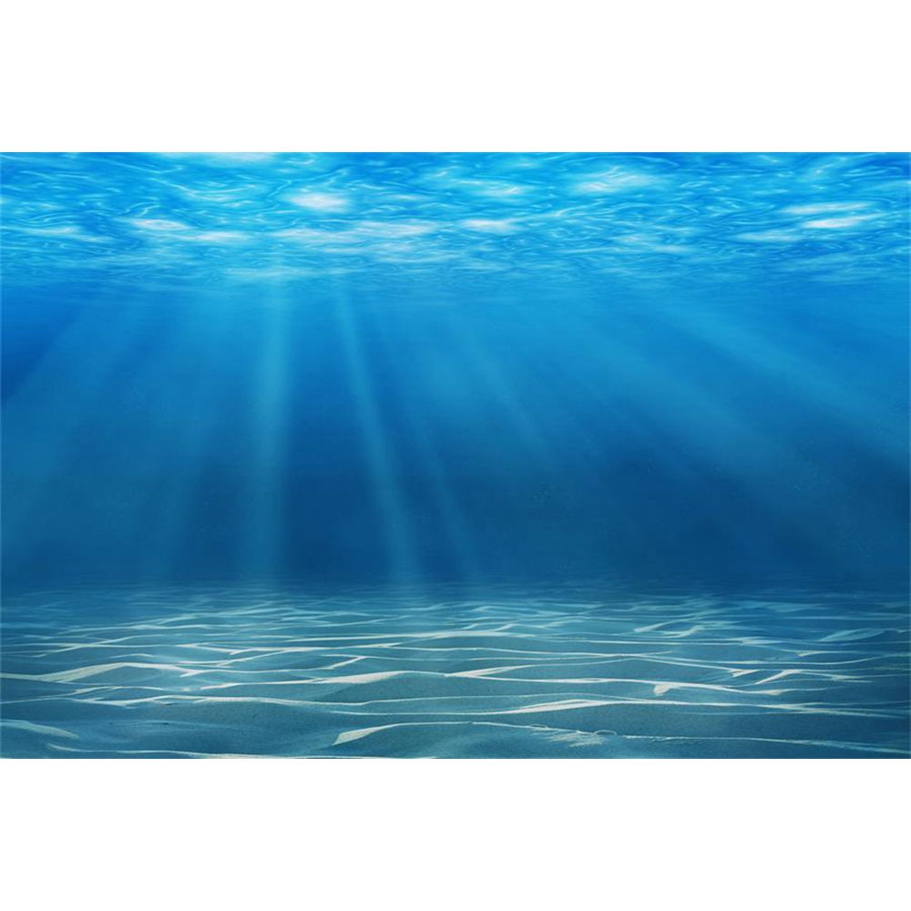 Underwater World Seabed Photog - Aquarium Fish Of The World review and price