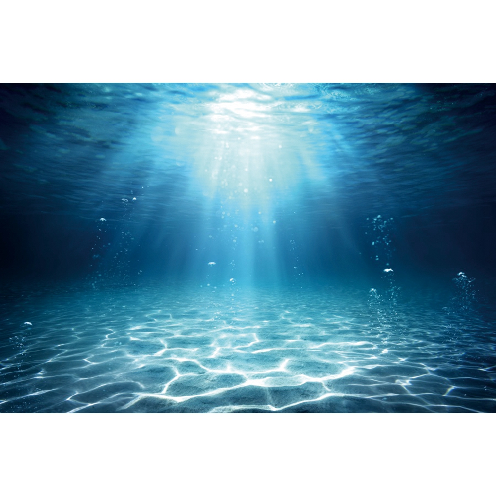 Underwater World Seabed Photog - Aquarium Fish Of The World review and price