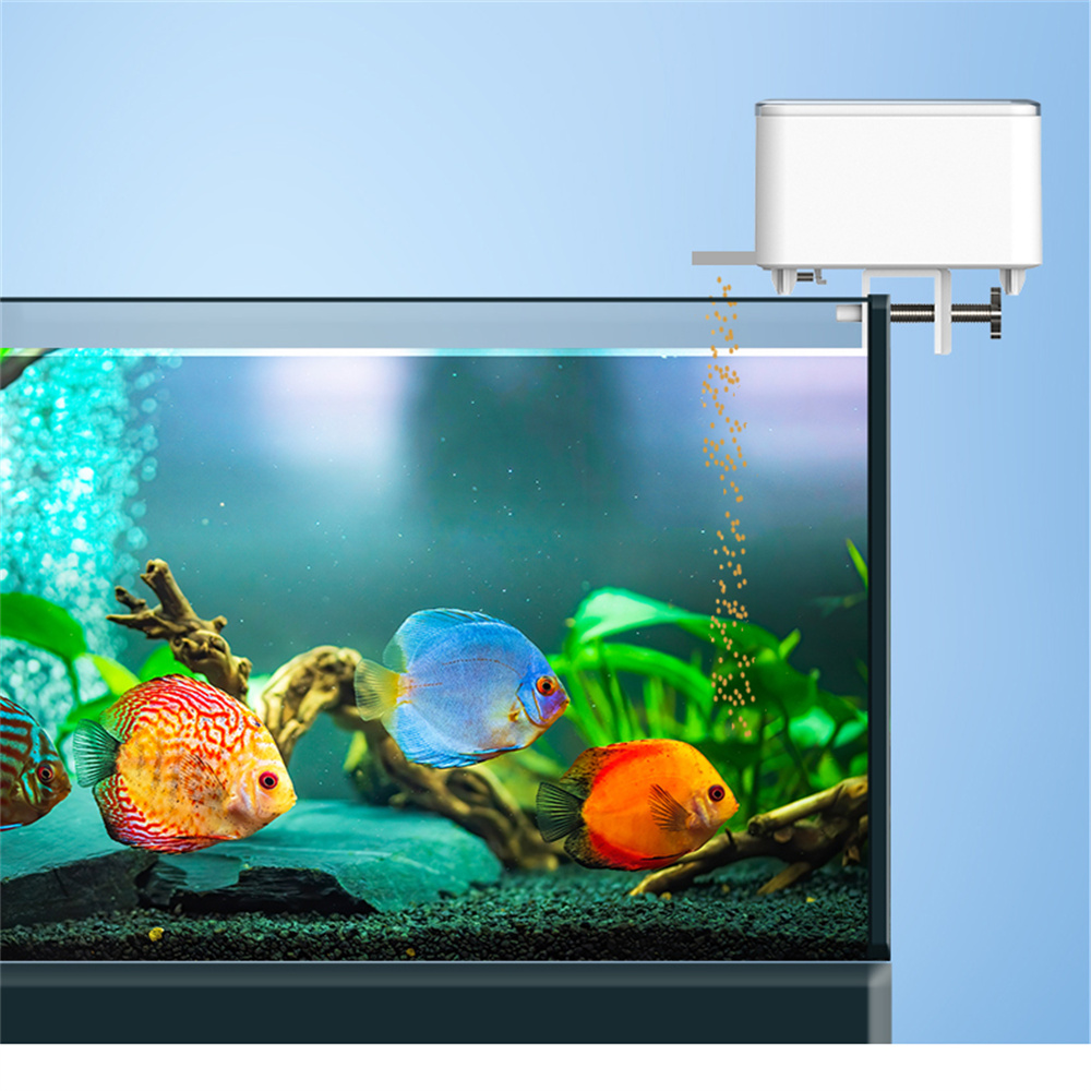 WiFi Smart Automatic Feeder Aq - Aquarium Fish App review and price
