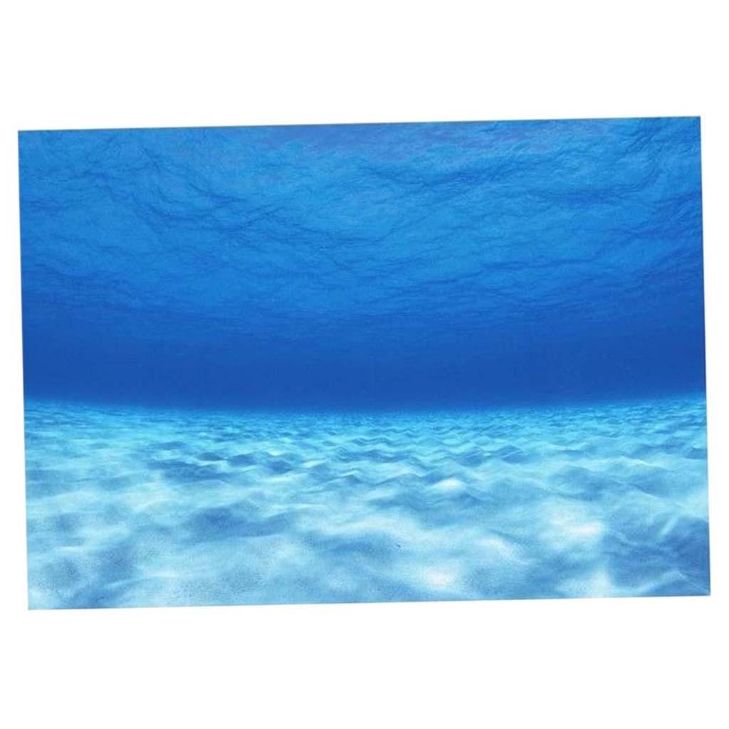 Side Decorative Aquarium Backg - Aquarium Fish Of The World review and price