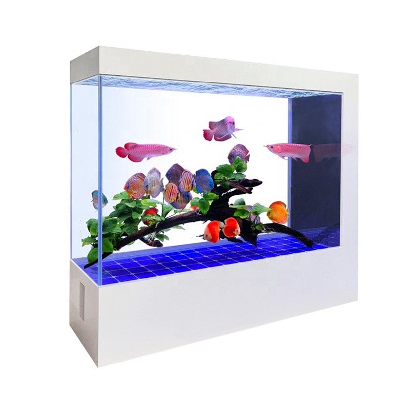 Wholesale Customization Latest - Aquarium Fish And Price review and price