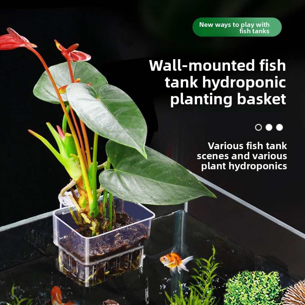 Aquarium Hydroponic Planting B - Aquarium Fish Pot review and price