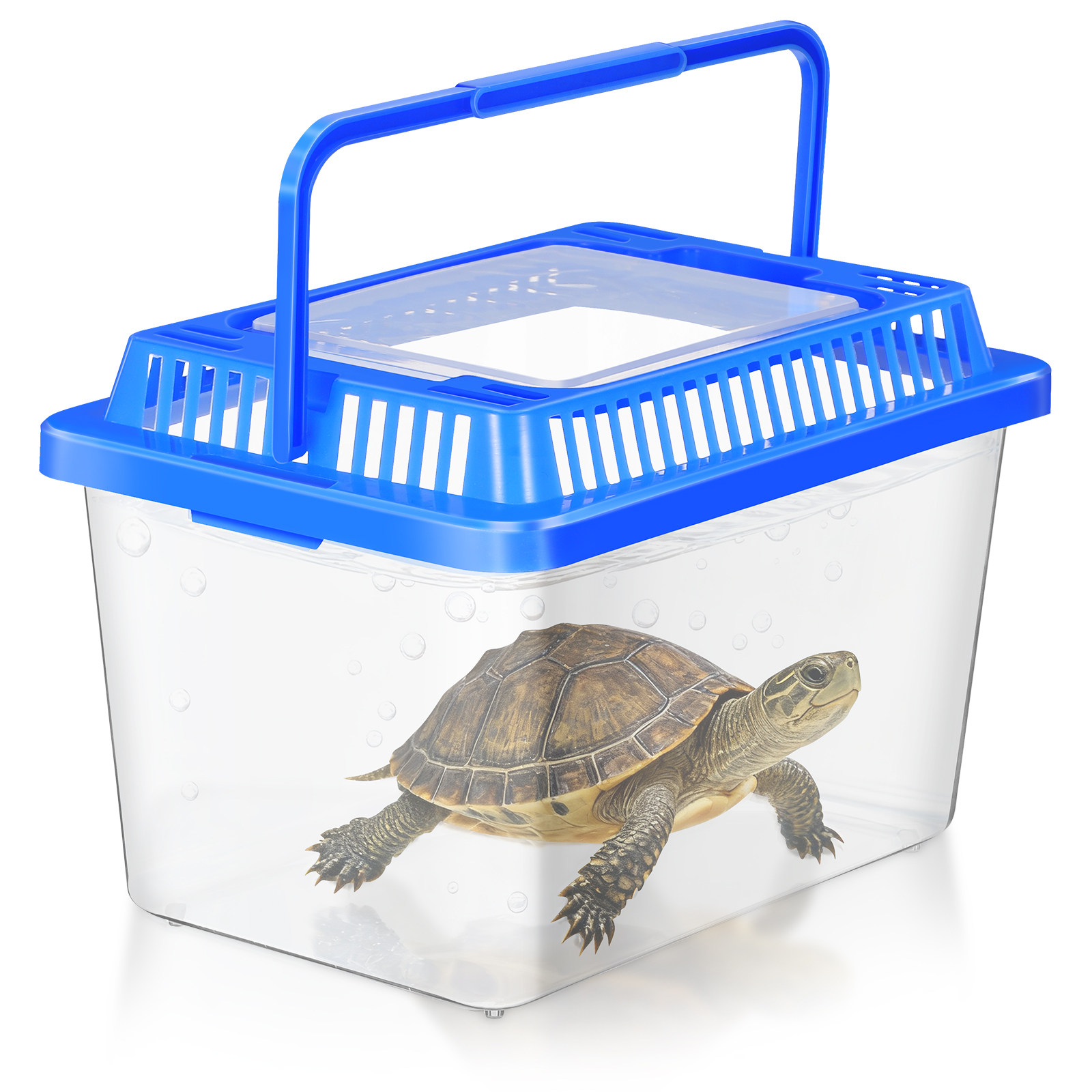 Mini Portable Fish Tank Transp - Aquarium Mini Fish review and price