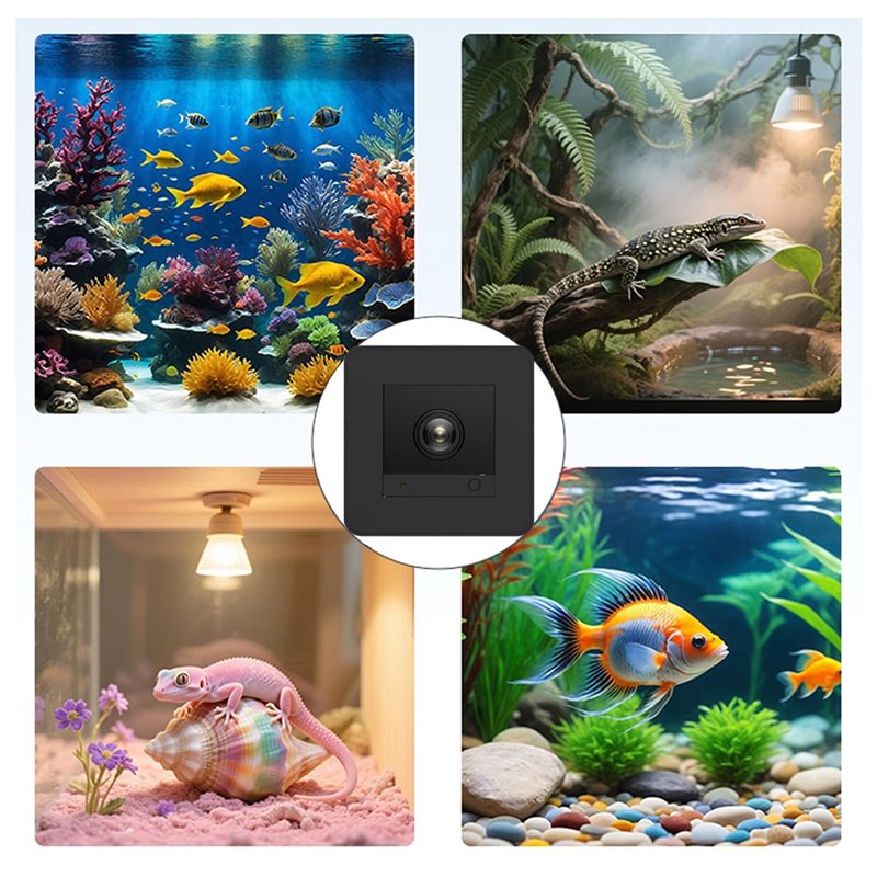 【Price Drop !!】Fish Tank Camer - Aquarium Fish And Price review and price